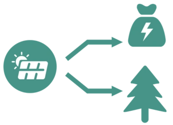 綠電直連VS隔墻售電
